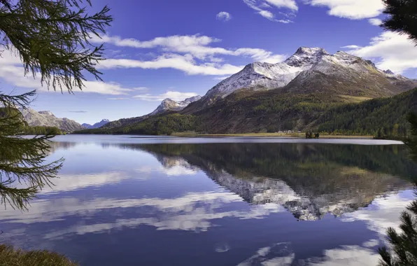 Forest, clouds, snow, mountains, branches, lake, reflection, rocks