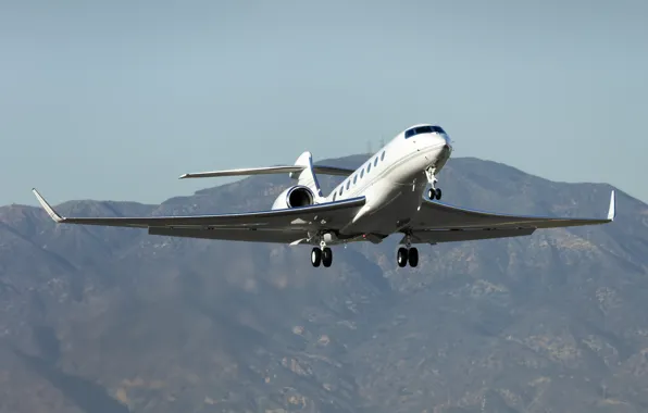 The plane, jet, Gulfstream, G650, business class
