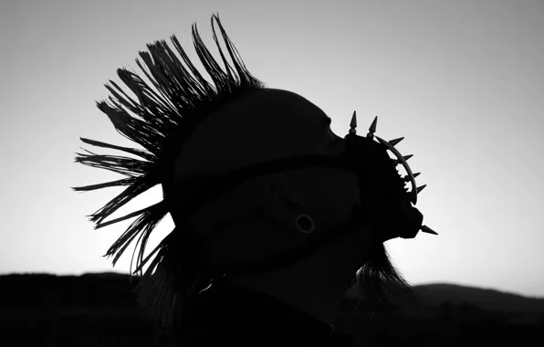 Spikes, beard, Mohawk, tunnels, the muzzle, Punk, Pablo Wallpaper by upondeathwish