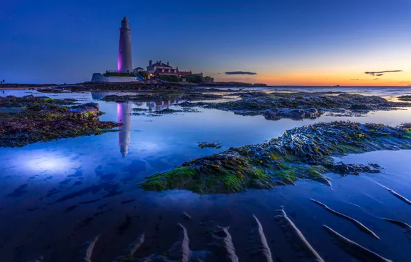 Beach, The evening, Lighthouse, Bay, Dawn, Beach, Dawn, Evening