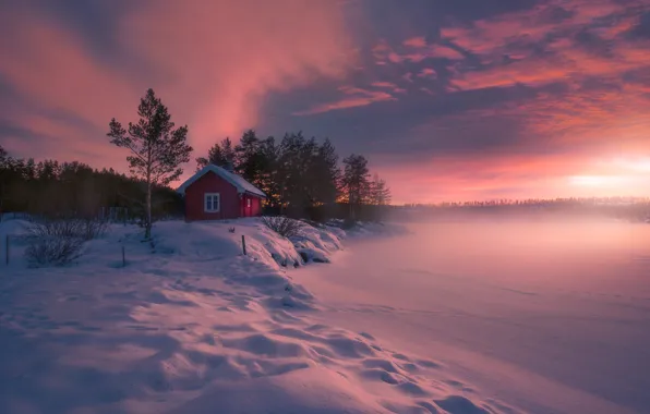 Picture house, frost, Norway, Norway, Ringerike