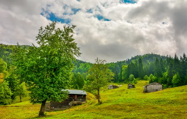 The sky, clouds, trees, mountains, slope, house