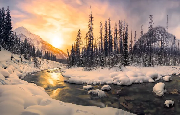 Picture winter, forest, the sun, light, snow, mountains, river