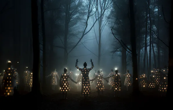 Night, the darkness, silhouettes