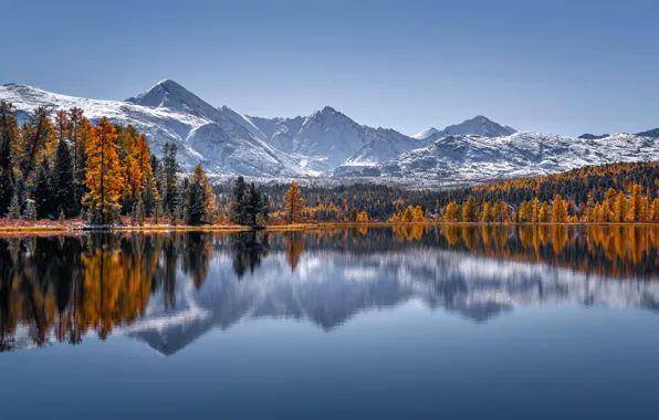 Picture autumn, forest, trees, mountains, lake, reflection, Russia, The Altai Mountains