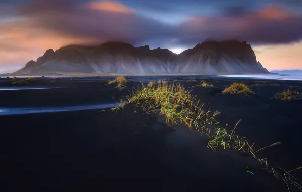 Picture grass, mountains, desert