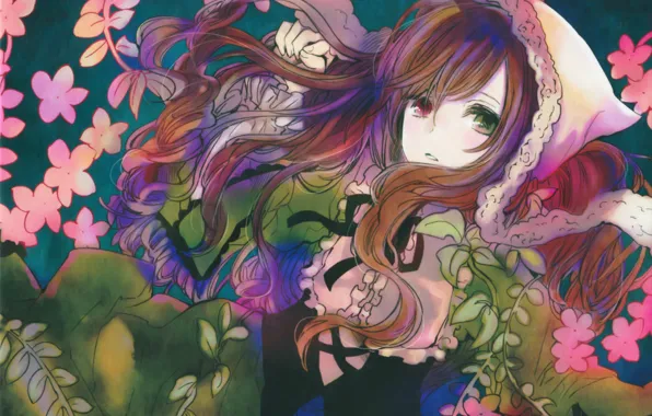 Picture flowers, cap, rozen maiden, different eyes, suiseiseki