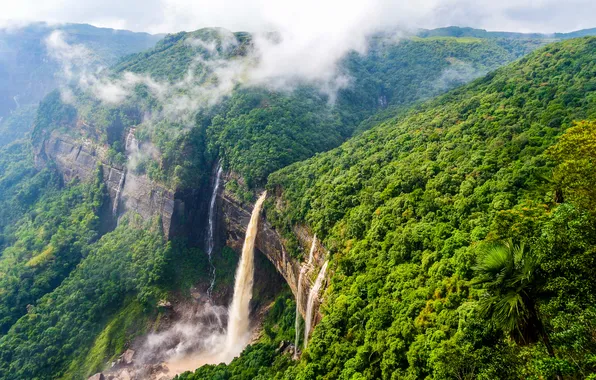 Picture forest, waterfall, environment, tourism, shillong, cherrapunjee