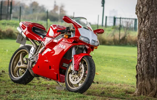 Picture Red, Ducati, 748