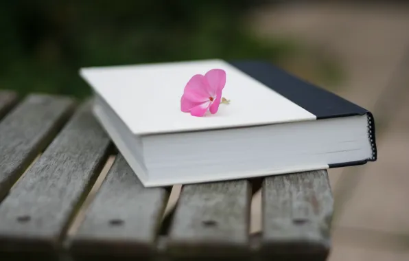 Flower, macro, book