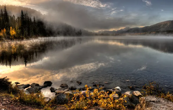 Picture landscape, fog, lake