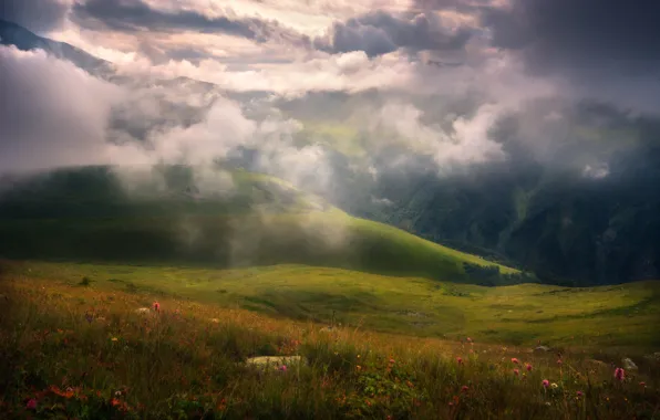 Picture clouds, flowers, mountains, fog, Nature
