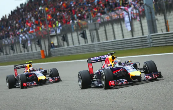 Racer, Formula 1, Red Bull, Vettel, Champion, Sebastian, RB10