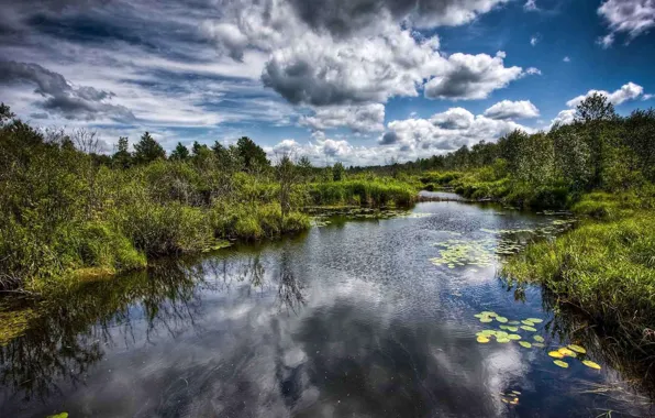 Download wallpaper the sky, swamp, grass, sky, water, creepy, greens ...