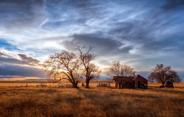 Field, home, morning