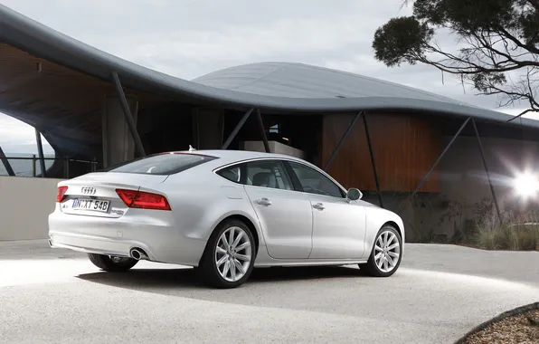 House, Audi, audi, 2011, back