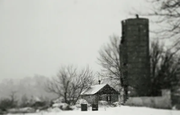 Winter, snow, trees, branches, house, the barn, farm, the gray sky