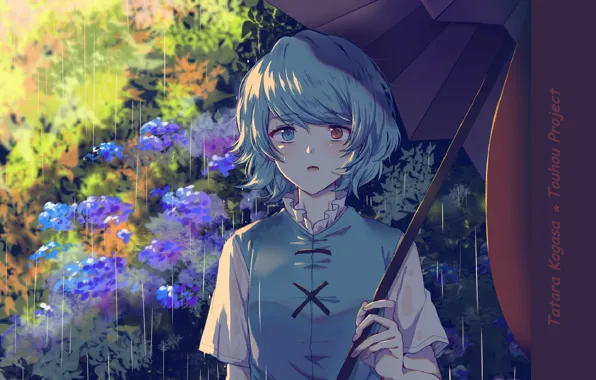 Blue hair, hydrangea, different eyes, Touhou Project, under the umbrella, Project East, summer rain, Tatara …