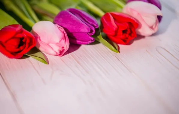 Flowers, bouquet, colorful, tulips, red, white, wood, flowers