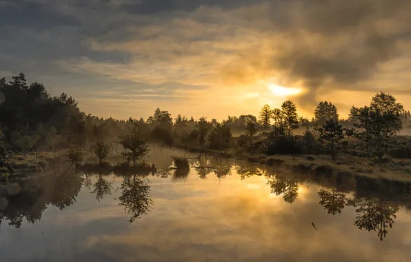 Landscape, nature, dawn, Hubert Bichler