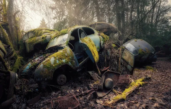 Picture machine, moss, scrap