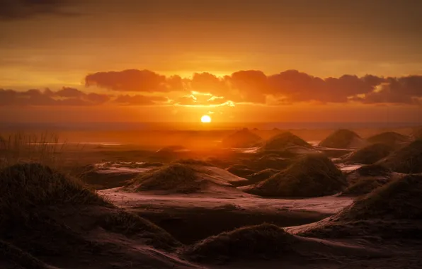 Sand, sea, the sky, grass, the sun, clouds, light, sunset