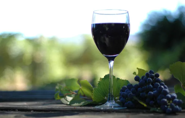Picture wine, different, butilka, derive, Winograd