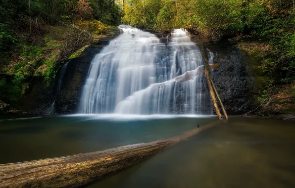 Picture nature, rocks, shore, vegetation, waterfall, stream, log, cascade