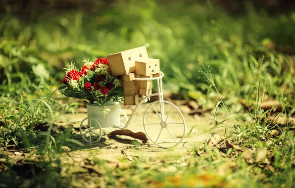 Picture flowers, bike, box, amazon