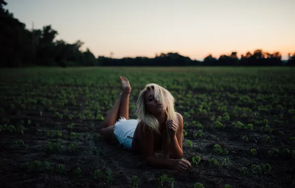 Girl, sunset, blonde