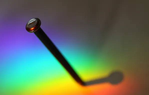 Macro, background, nails