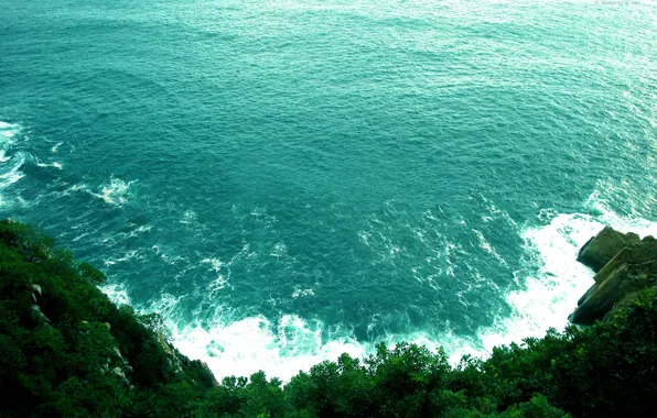 Sea, wave, water, trees, stones, rocks, shore, view