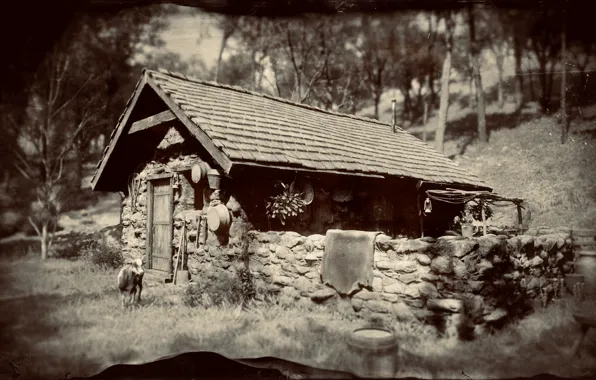 HDR, House, Wood, Wall, Game, Trees, Animal, UHD