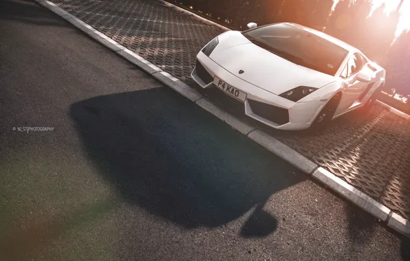 Road, the sun, trees, street, shadow, Lamborghini, border, white