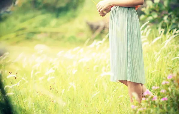 Picture greens, field, grass, girl, the sun, flowers, background, widescreen
