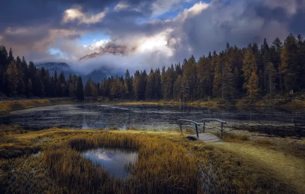 Autumn, bridge, nature, lake