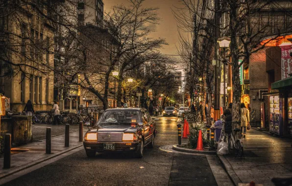 Trees, bike, people, street, lights, neon, Japan, Kyoto