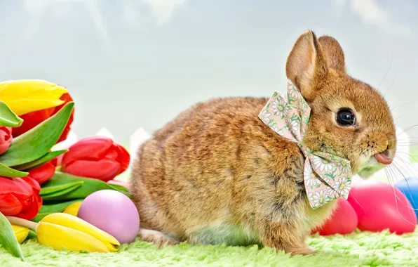 Picture flowers, holiday, rabbit, Easter, tulips, bow, testicles