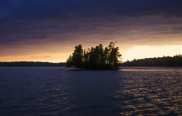 Picture forest, lake, island, Canada, Ontario, Sioux Narrows Provincial Park