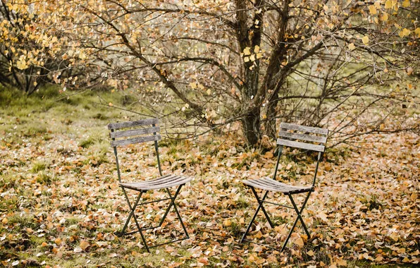 Autumn, leaves, chairs