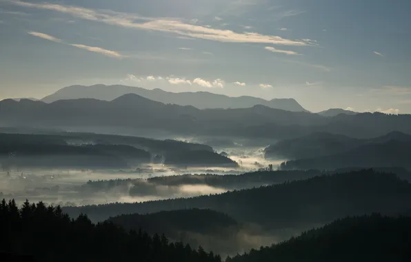 Picture forest, mountains, fog, morning, valley