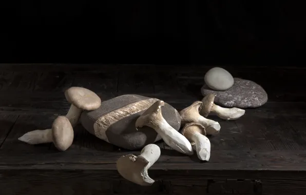 Picture stones, mushrooms, food