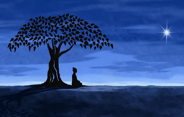 Picture tree, star, Night, meditation