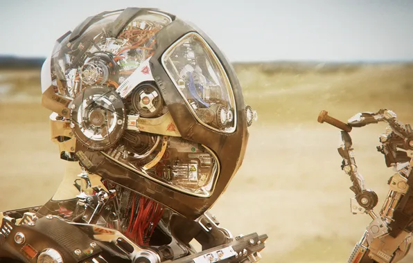 Picture sand, future, desert, robot, nuts