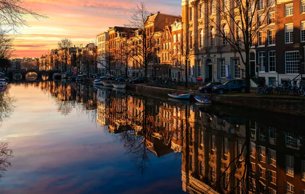 Light, trees, sunset, machine, the city, reflection, street, shore
