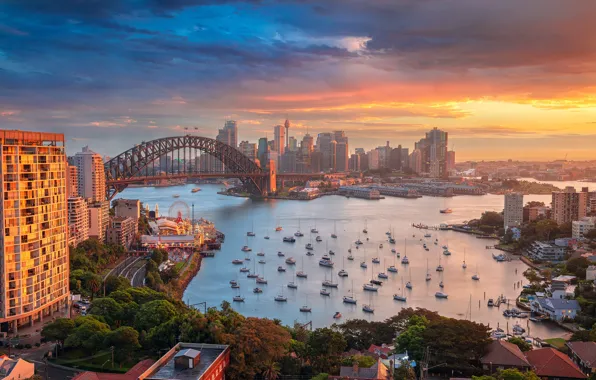 Sunset, bridge, building, home, yachts, Australia, Bay, Sydney