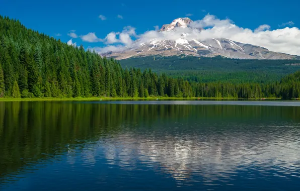 Forest, clouds, lake, mountain, Oregon, Oregon, Trillium Lake, Mount Hood