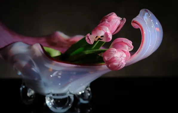 Flowers, tulips, vase