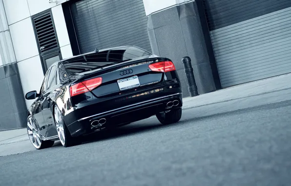 Picture Audi, cars, auto, wallpapers auto, Wallpaper HD, Photography, Audi a8