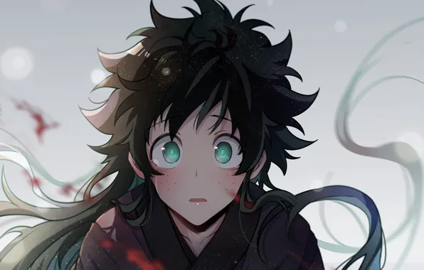 Look, anime, art, Boku no Hero Academy, Midori Isuku, Izuku Midoriya
